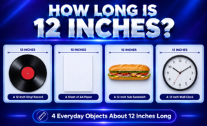 how long is 12 inches