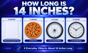 how long is 14 inches